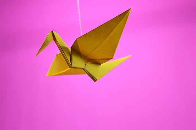 Bolehkah Membuat Origami Berbentuk Makhluk Hidup